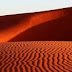 Look for the Best Travel Destinations- Desert Safari Dubai 