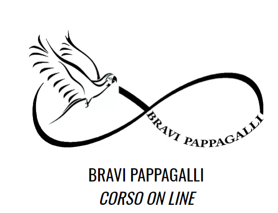 BRAVI PAPPAGALLI CORSO ON LINE LIVE