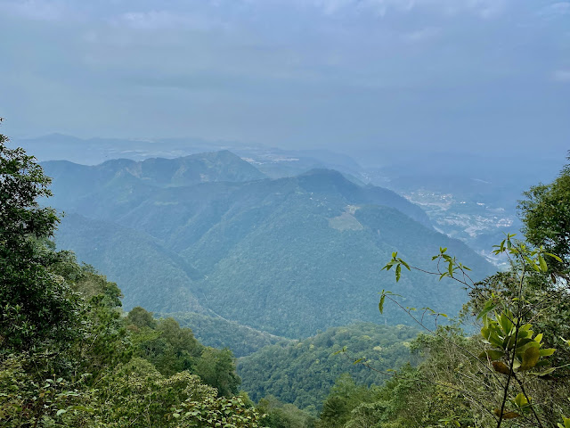 往我音山