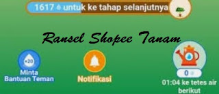 Letak Ransel di Shopee Tanam