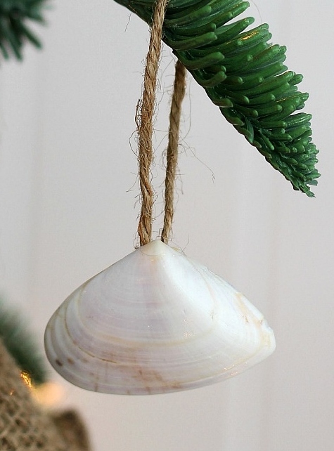 Natural Seashell Ornaments