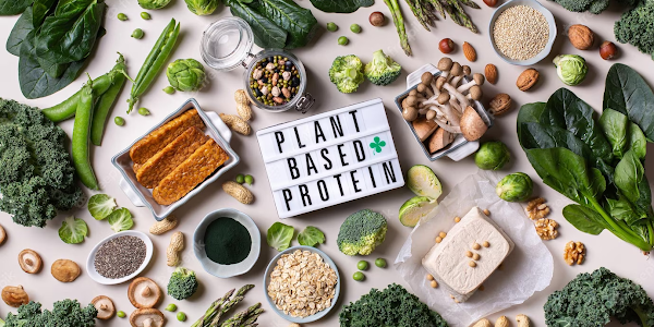 The Benefits of a Plant-Based Diet