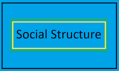 Social structure is the patterned social relationships of society in the social sciences that both arise from and decide the behavior of individuals..