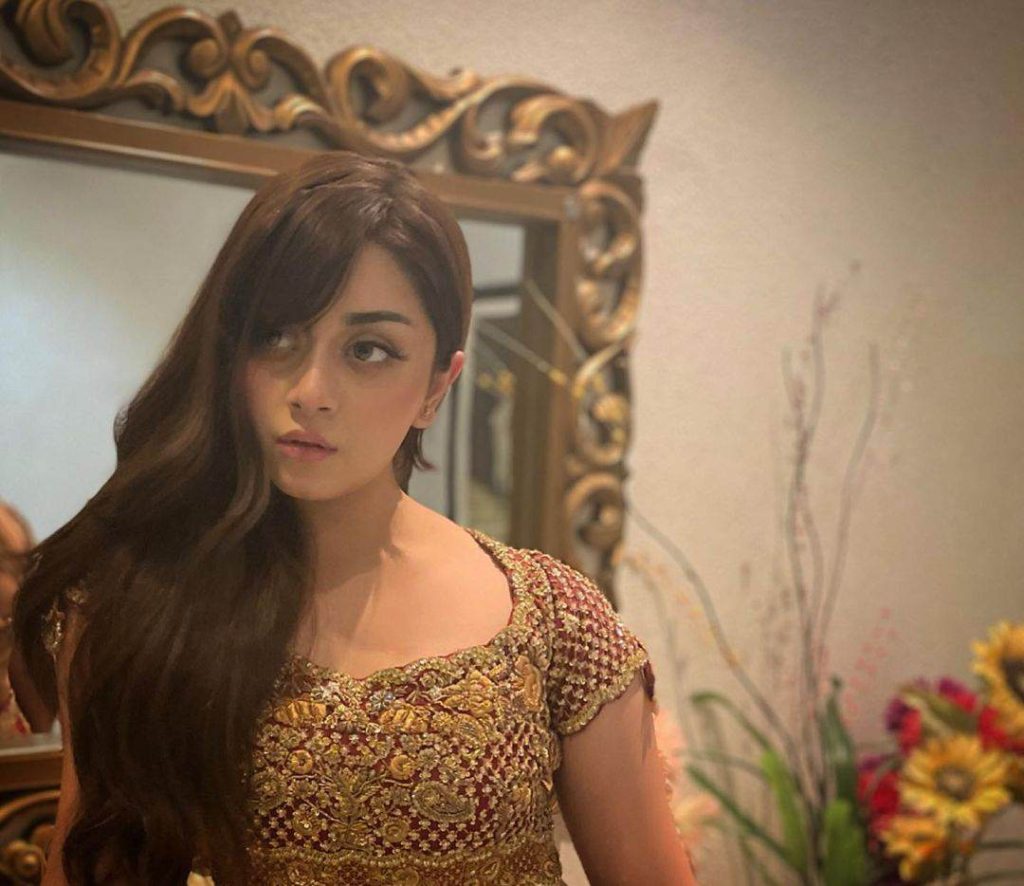Alizeh Shah looks princess in new pictures