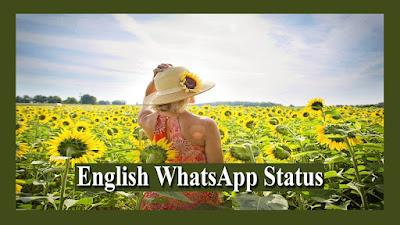 English WhatsApp Status