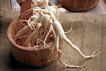 Cómo utilizar la raíz de ginseng seca