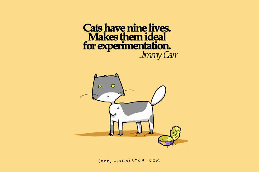 15 Illustrated Truths About Cats That Every Cat Owner Will Understand