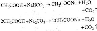 carbon and its compounds