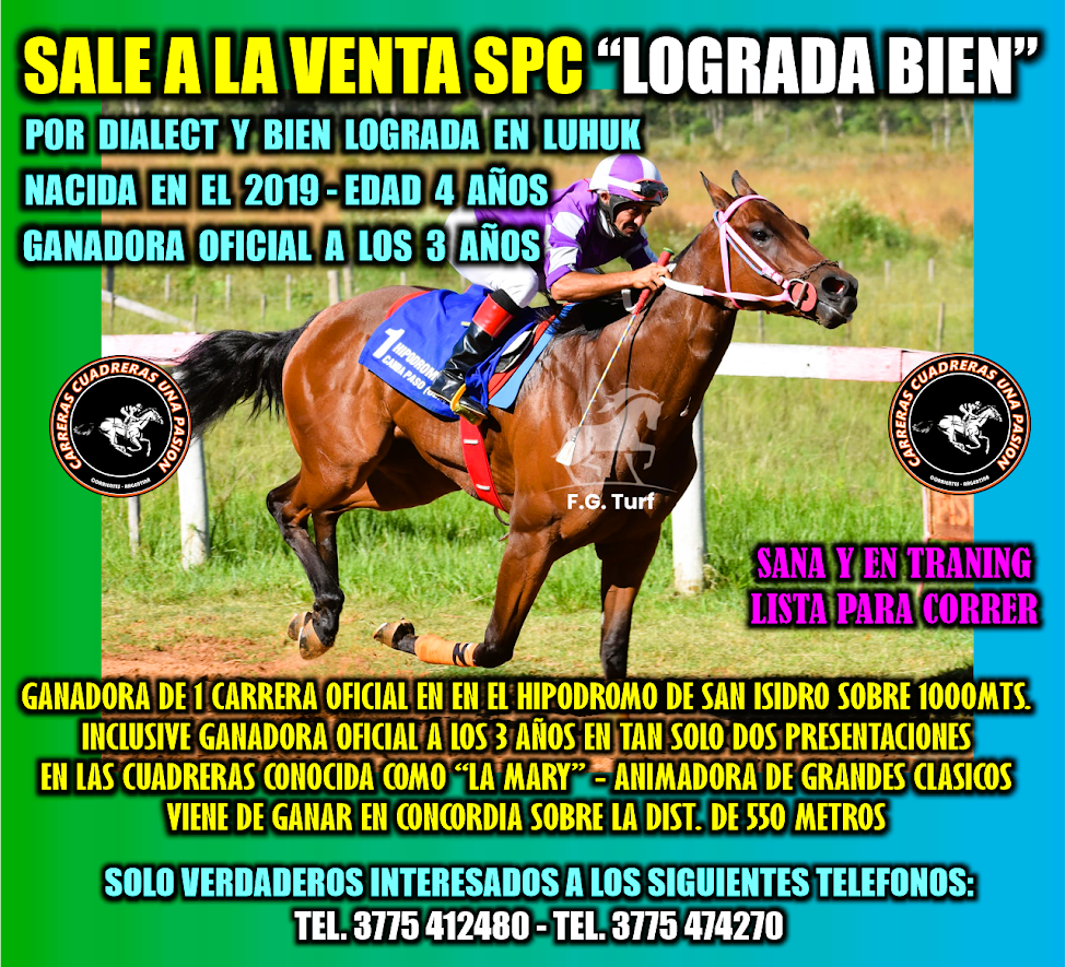 VENTA - LOGRADA BIEN - 27.04.2024