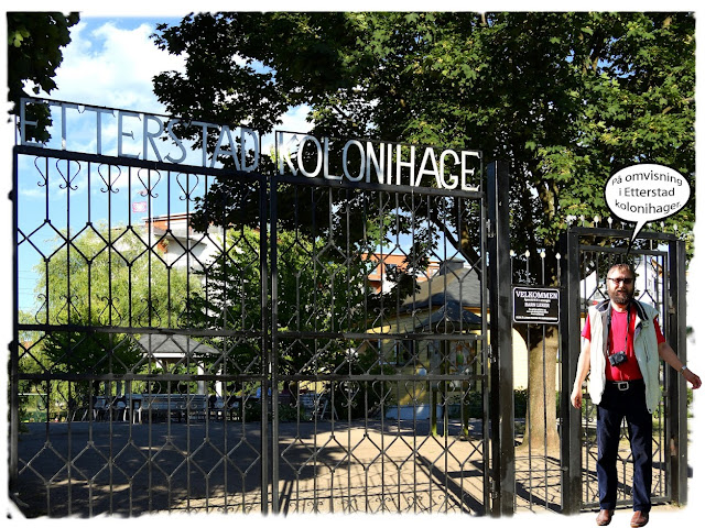 Sommerparadiset  Etterstad kolonihager i Etterstadgata 18C øverst på Vålerenga i Oslo.