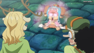 ワンピースアニメ ゾウ編 765話 チョッパー かわいい Tony Tony Chopper | ONE PIECE Episode 765