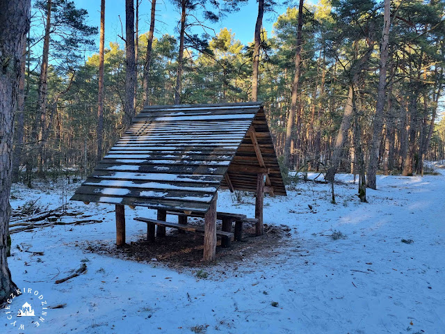 Kampinoski Park Narodowy