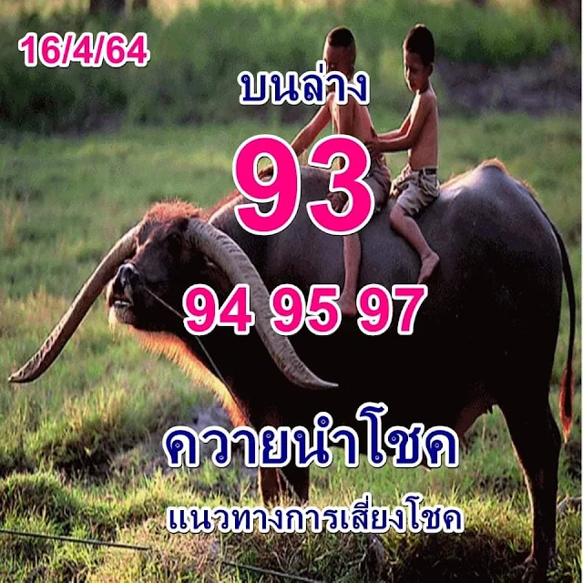 Game Open Thai Lottery VIP paper 1/02/2022 thai lottery today | thailand lottery result 2022 | 1-2-2022 Thailand Lottery Buffalo Paper