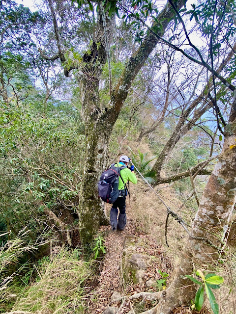 司令山下山