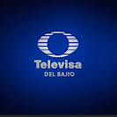 Televisa Del Bajío en vivo