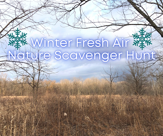 Nature Scavenger Hunt for Winter Wanderings