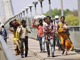 एक जनवरी के बाद प्रदेश लौट रहे प्रवासी श्रमिकों का पंजीयन किया जाए श्रम विभाग ने समस्त कलेक्टर्स को जारी किये निर्देश