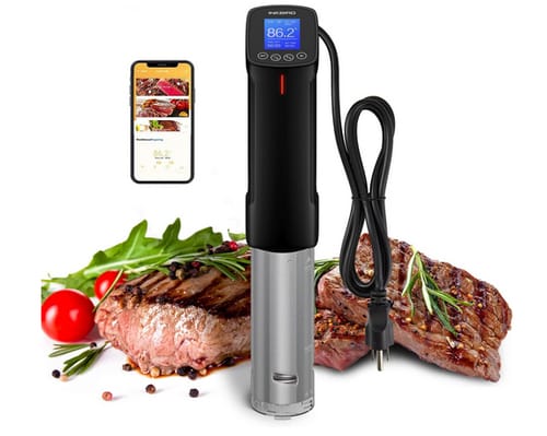 Inkbird 1000 Watts WIFI Sous Vide Precision Cooker