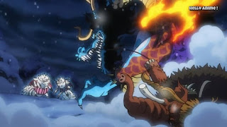 ワンピースアニメ 1003話 ワノ国編 | ONE PIECE