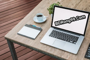 Outsourcing income bd