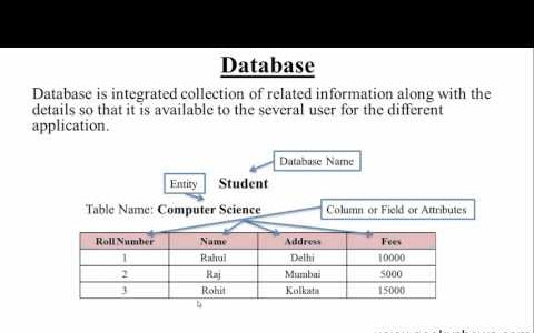  ডেটাবেজ কি? (What is Database ) ?How to Works database 2022