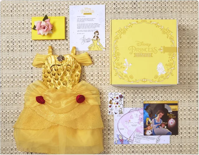 Disney Princess Monthly Subscription Box