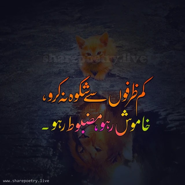 Powerful Quotes About Life In Urdu - Mazboot Raho