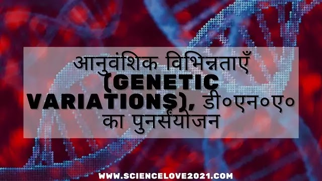आनुवंशिक विभिन्नताएँ (Genetic Variations), डी०एन०ए० का पुनर्संयोजन|hindi