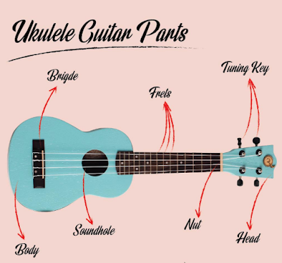 Top 10 Surprising Ukulele Facts