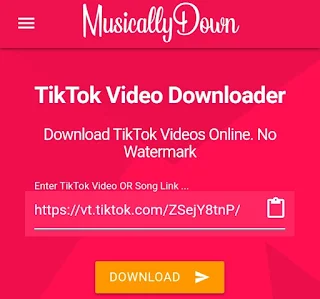 tiktok to mp3 converter