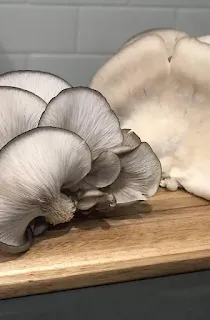 Mushroom wholesale market in Maharashtra