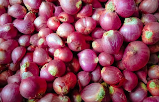 bawang merah digunakan sebagai obat
