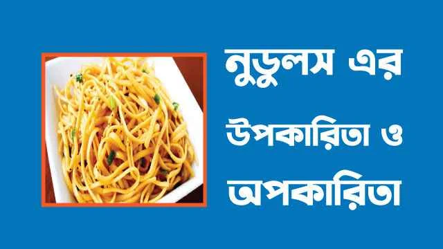 নুডুলস এর উপকারিতা ও অপকারিতা