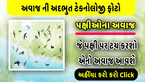 કોઈપણ પક્ષી ને ટચ કરો એ પક્ષી નો અવાજ સંભળાશે