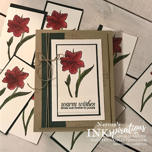 A work in progress - Amaryllis Abloom Christmas Cards | Nature's INKspirations by Angie McKenzie