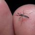 Casos de dengue em Alto Taquari tem um aumento de 2275% comparado ao mesmo período de 2023