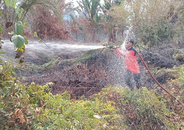 1,5 Hektare Lahan Terbakar Di Sungai Andai, BPBD Sebut Ada Indikasi Disengaja