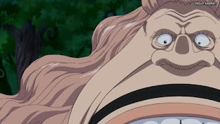 ワンピースアニメ WCI編 796話 ビッグマムの夫 パウンド Pound | ONE PIECE Episode 796