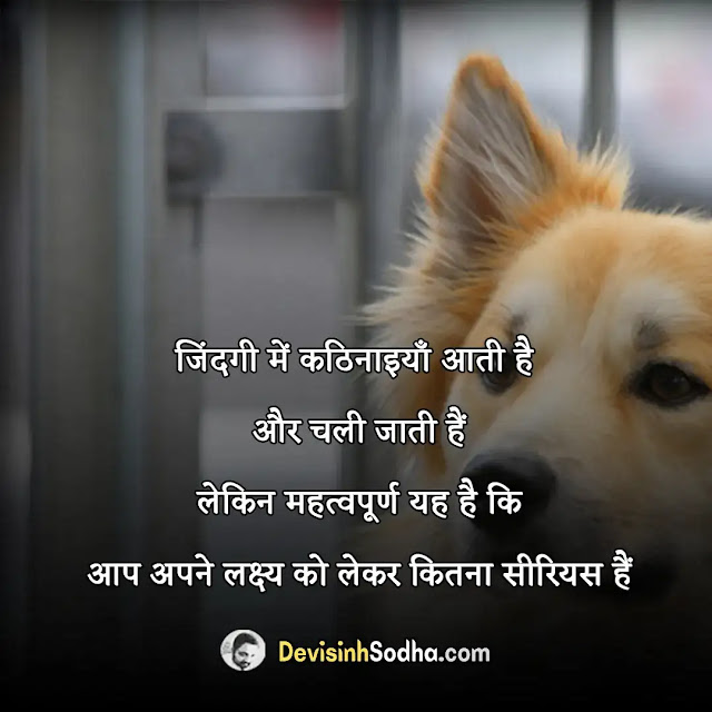 positive quotes status shayari in hindi, गोल्डन कोट्स इन हिंदी, मोटिवेशनल कोट्स इन हिंदी फॉर स्टूडेंट्स, life मोटिवेशनल कोट्स इन हिंदी फॉर सक्सेस, स्टडी मोटिवेशन इन हिंदी, मोटिवेशनल कोट्स इन हिंदी फॉर लाइफ, मोटिवेशनल कोट्स फॉर लाइफ, प्रेरणादायक पॉजिटिव थॉट्स इन हिंदी, मोटिवेशनल कोट्स इन हिंदी फॉर लाइफ, गोल्डन कोट्स इन हिंदी, ग्रेट थॉट्स इन हिंदी motivational, पॉजिटिव सुविचार, पॉजिटिव थॉट्स फॉर लाइफ, सकारात्मक विचार इन हिंदी, पॉजिटिव थिंकिंग कोट्स