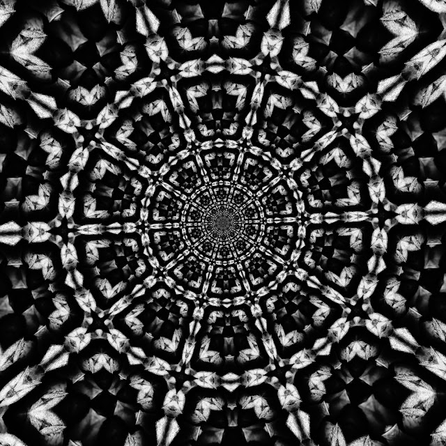 Zoom Black and White public Domain patterns for free downloads