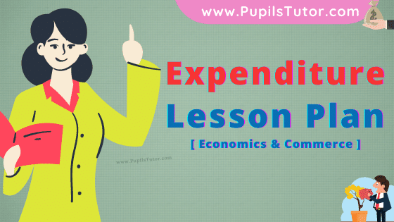 Expenditure Lesson Plan For B.Ed, DE.L.ED, M.Ed 1st 2nd Year And Class 12th Economics Teacher Free Download PDF On Real School Teaching And Practice Skill In English Medium. - www.pupilstutor.com