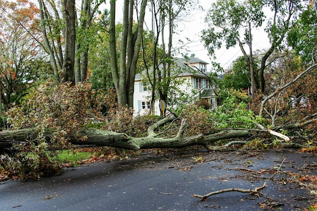 storm damage roofers