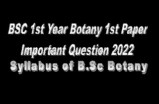 BSC 1st Year Botany 1st Paper Important Question 2022