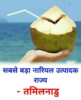 पढ़े हिंदी में कौन से राज्य कौन से फल का सबसे ज्यादा उत्पादन करते हैं