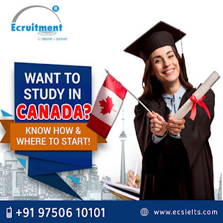 Study Abroad Coaching Centre in Medavakkam Thoraipakkam