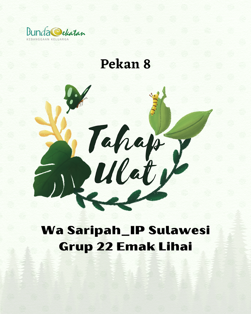 Pekan 8 Tahap Ulat