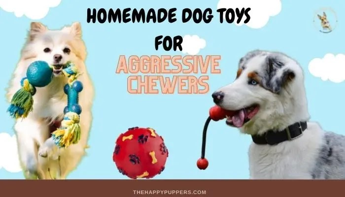 9 amazing HOMEMADE DOG chew toys for aggressive chewers