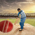 Get the Best of Free Online Cricket Betting Tips