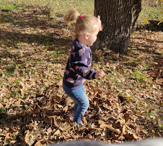 Jumping in leaves (that I just raked up)