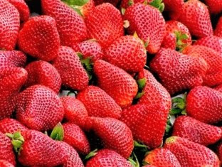 The peak season for strawberries is usually from mid-April.